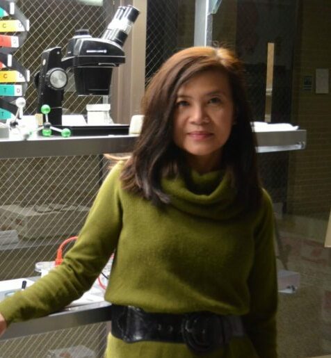 Dr. Rowena Misayah